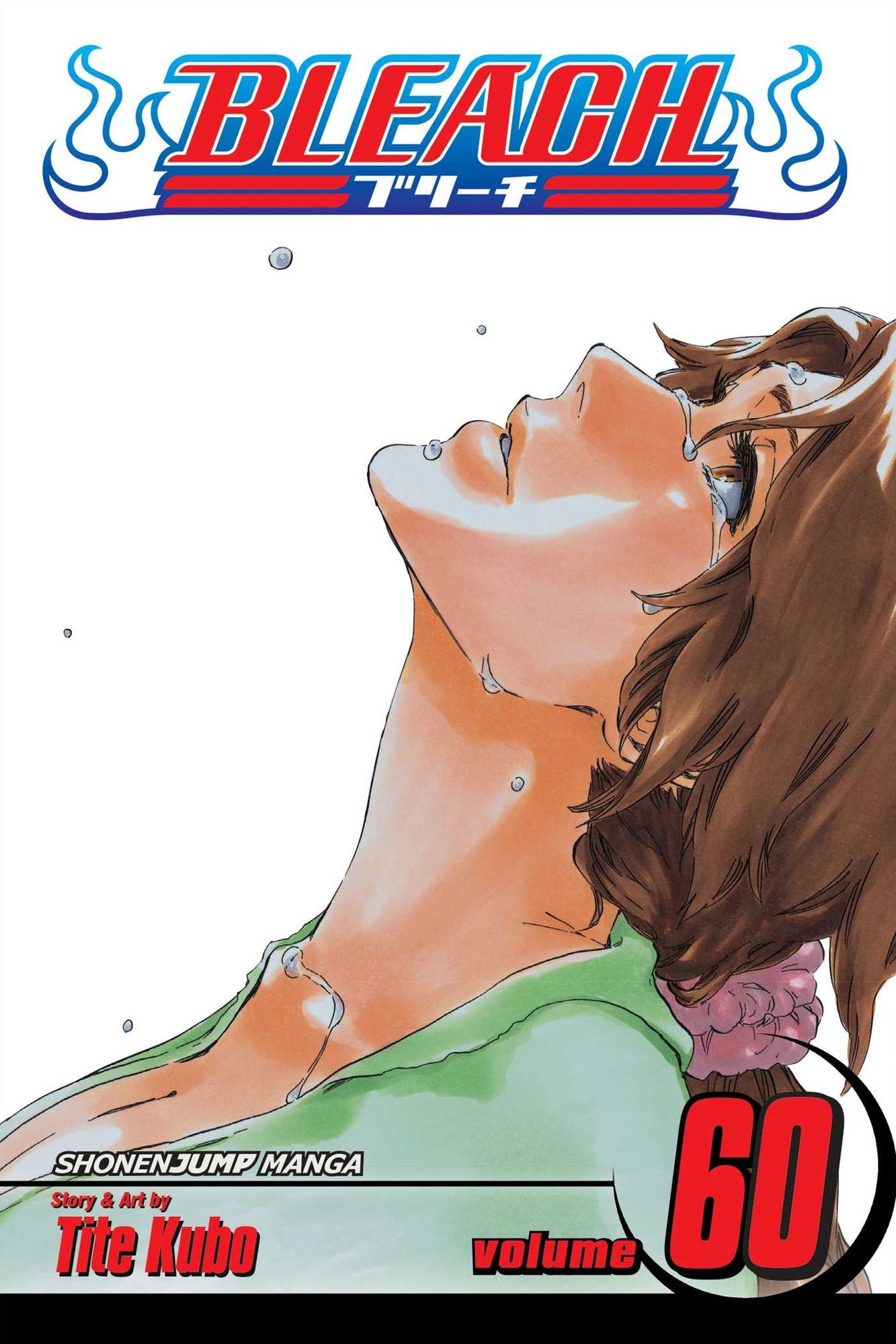 Bleach, Vol. 60: Everything But the Rain
