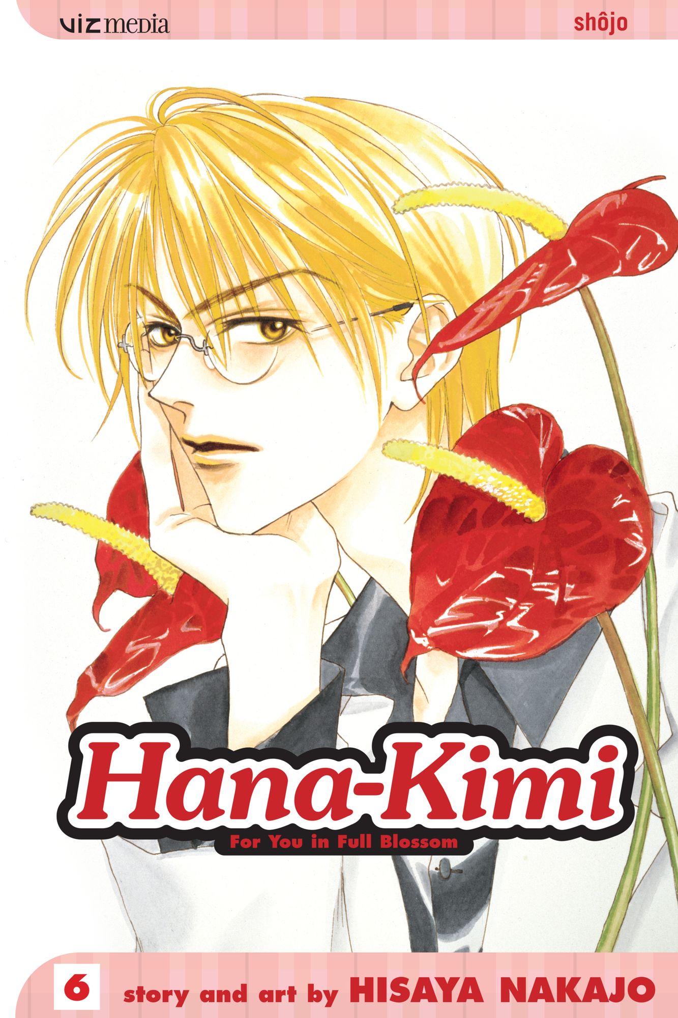 Hana-Kimi, Vol. 6: Private Eyes