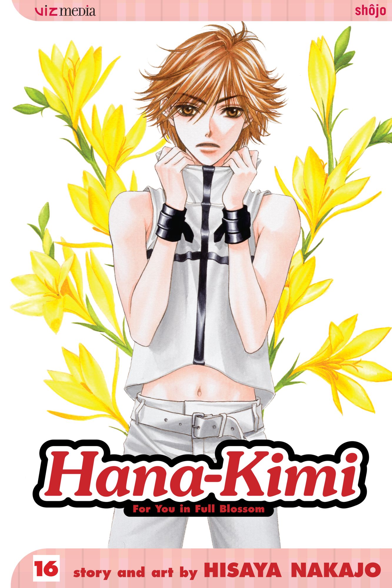 Hana-Kimi, Vol. 16: Brothers