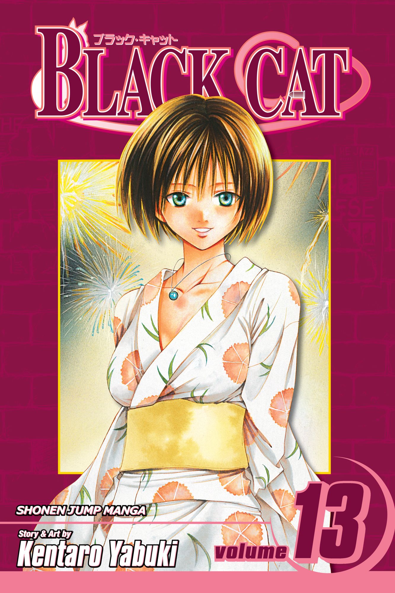 Black Cat, Vol. 13: Dear Friend