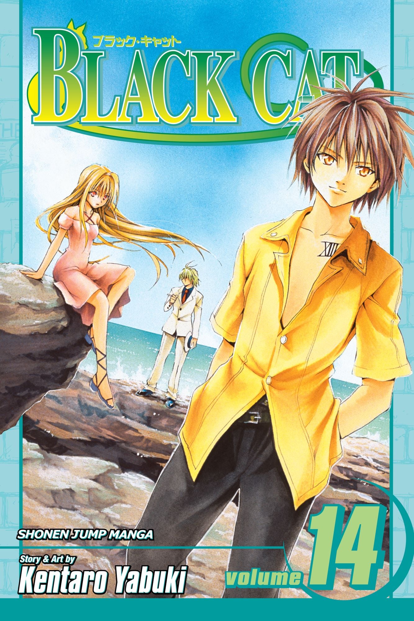 Black Cat, Vol. 14: Alliance