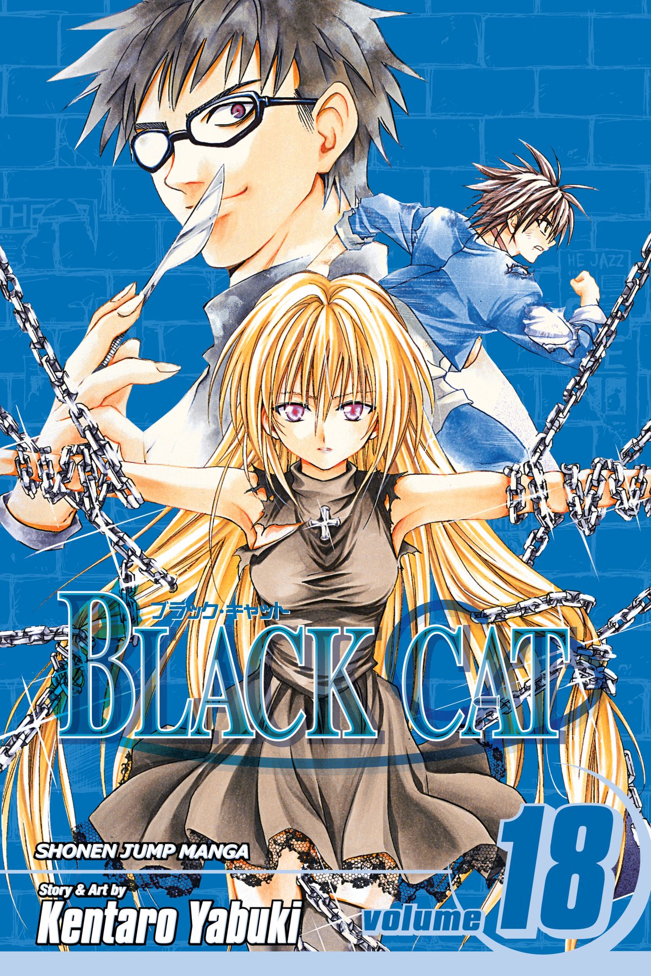 Black Cat, Vol. 18: Guiding Light