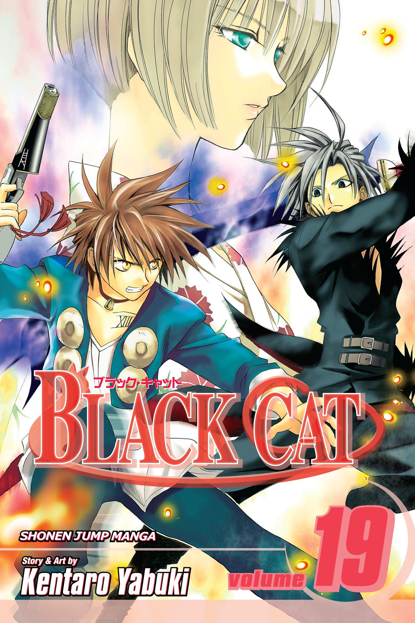 Black Cat, Vol. 19: As a Sweeper