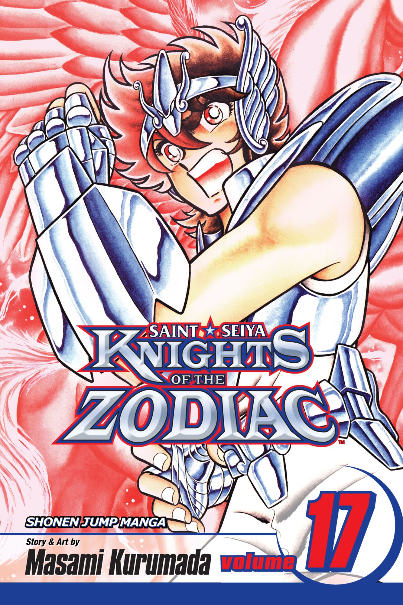 Knights of the Zodiac (Saint Seiya), Vol. 17: Athena's Prayers