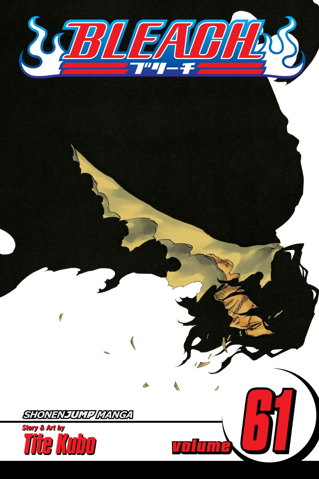 Bleach, Vol. 61: The Last 9 Days