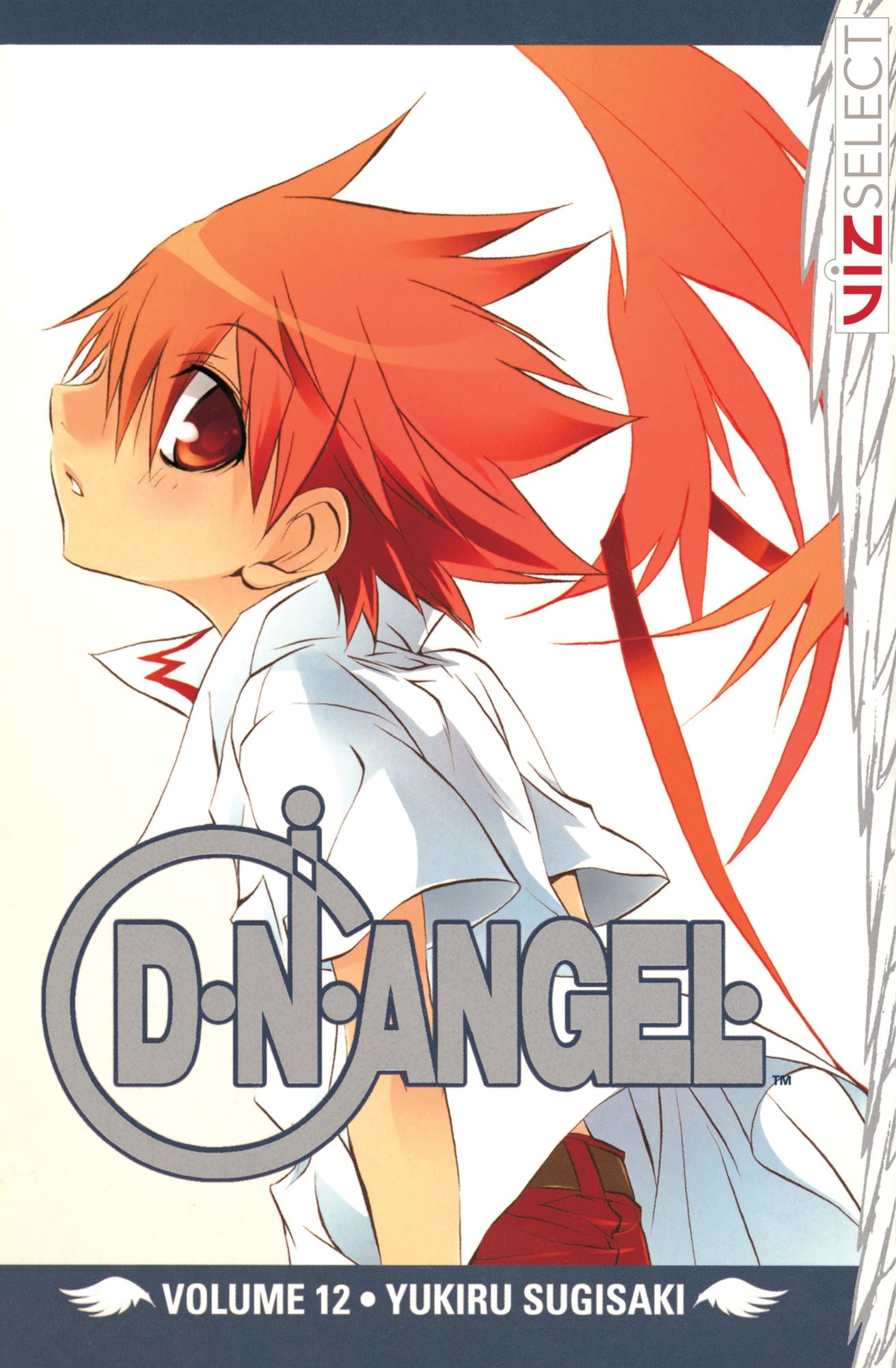 D.N.ANGEL, Vol. 12