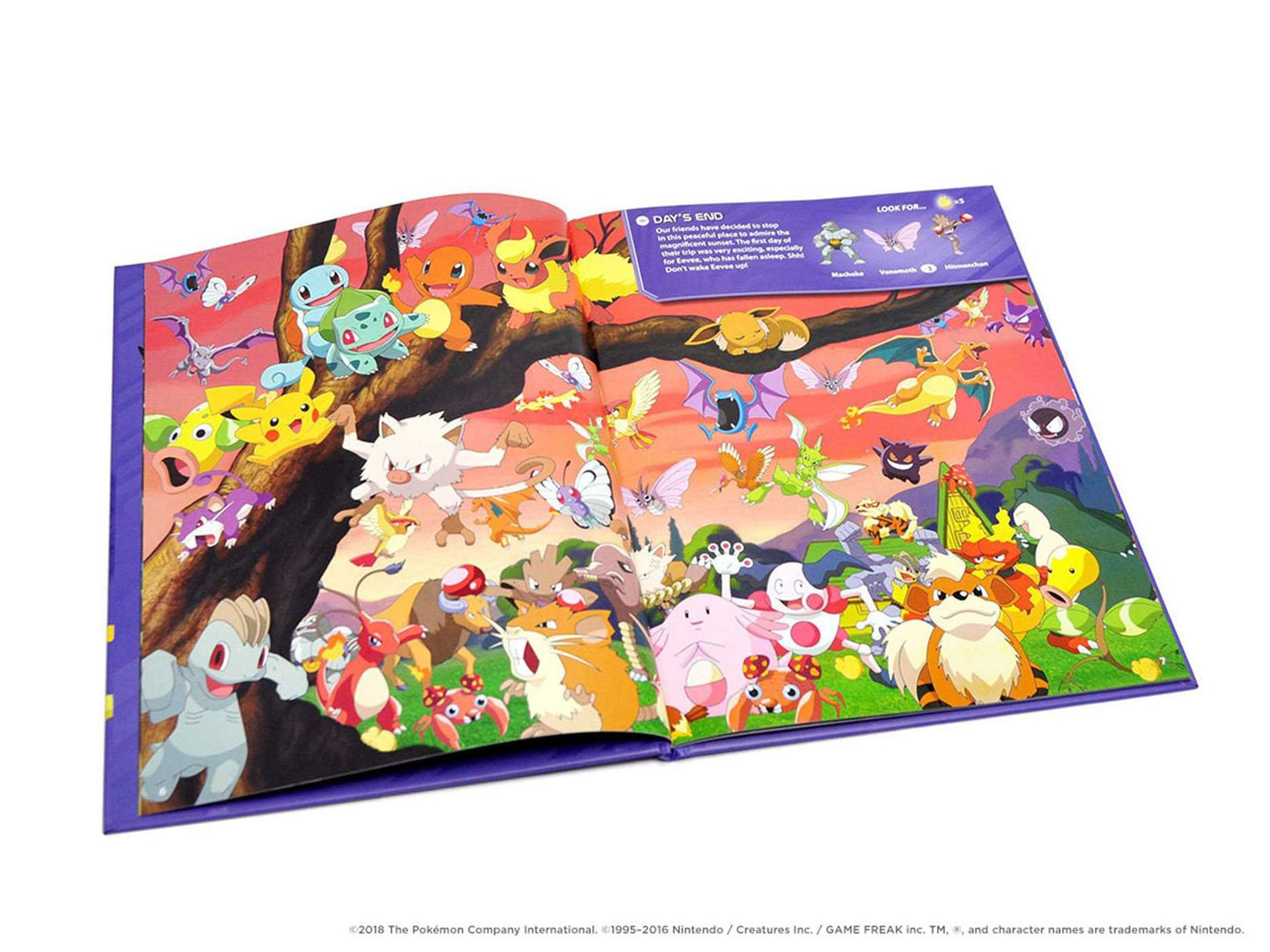 Pokemon Seek and Find - Kanto
