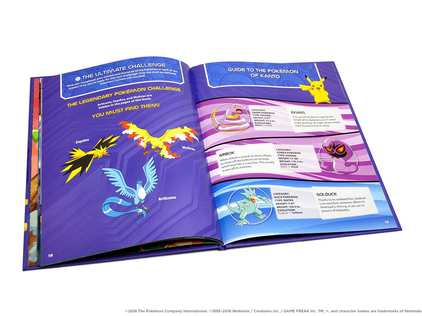 Pokemon Seek and Find - Kanto