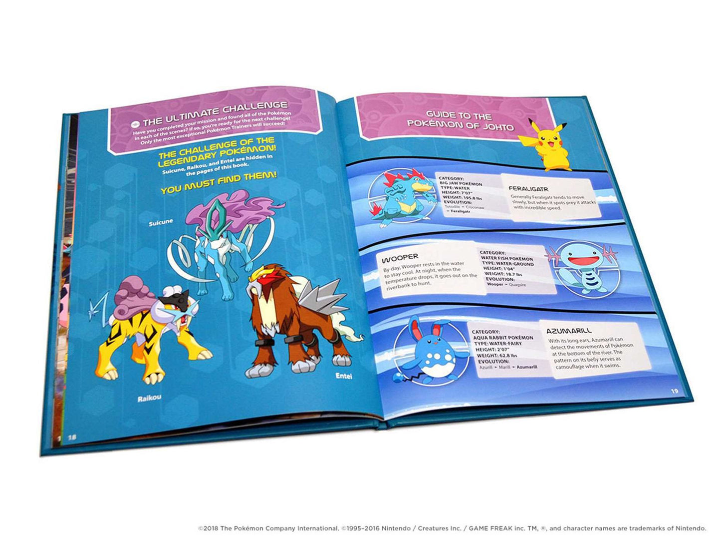 Pokemon Seek and Find - Johto: Joht