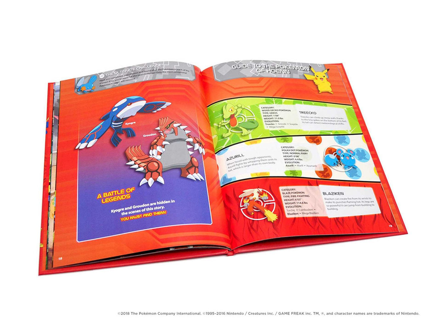 Pokemon Seek and Find - Hoenn