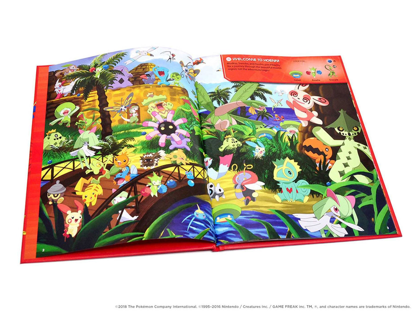 Pokemon Seek and Find - Hoenn