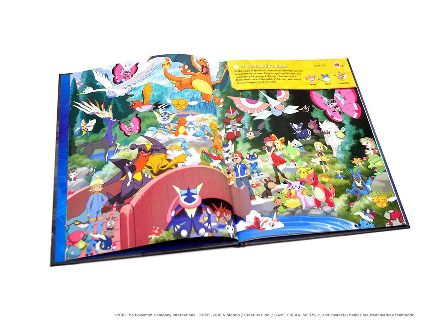 Pokemon Seek and Find - Legendary Pokemon