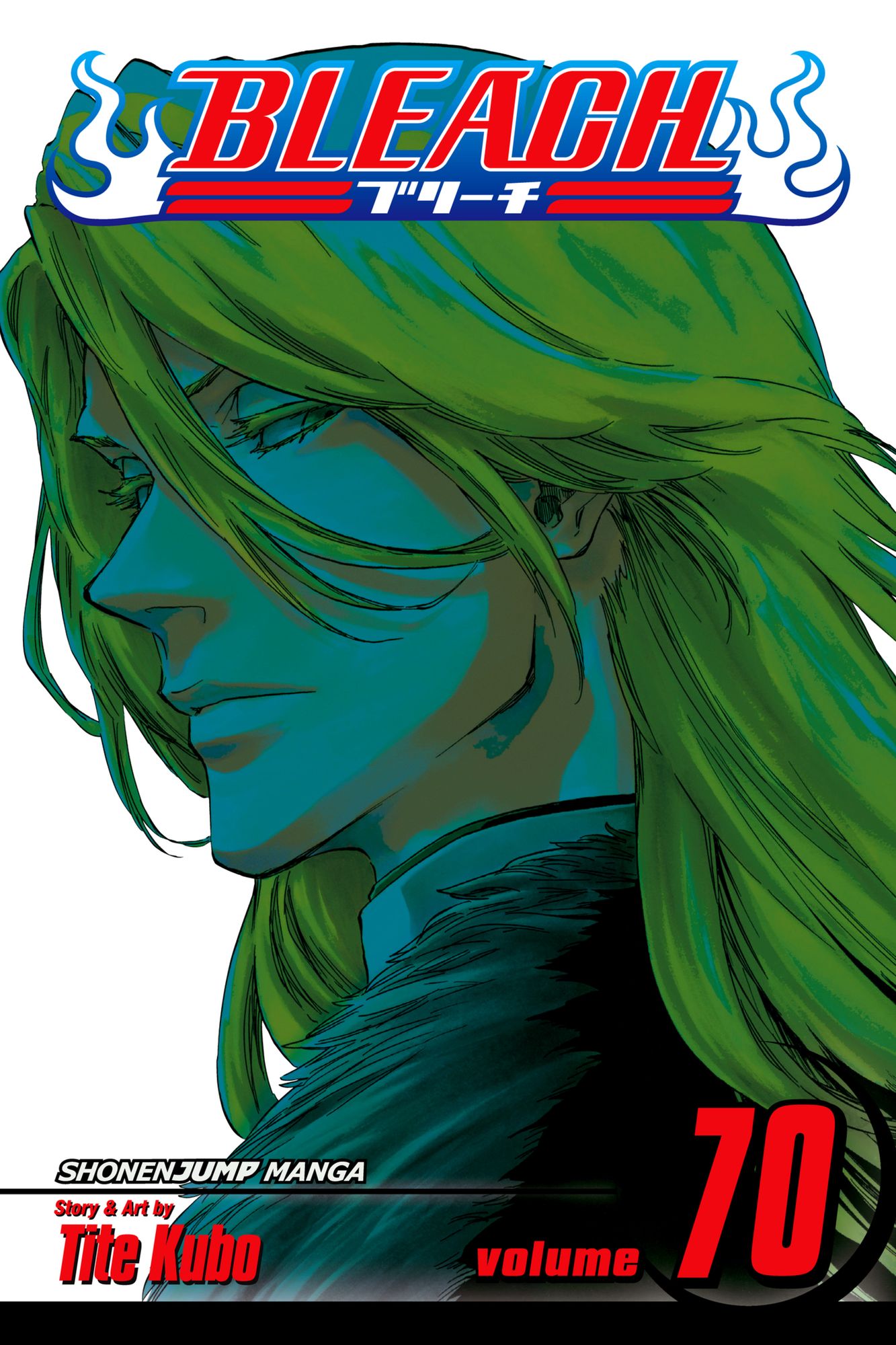 Bleach, Volume 70: Friend