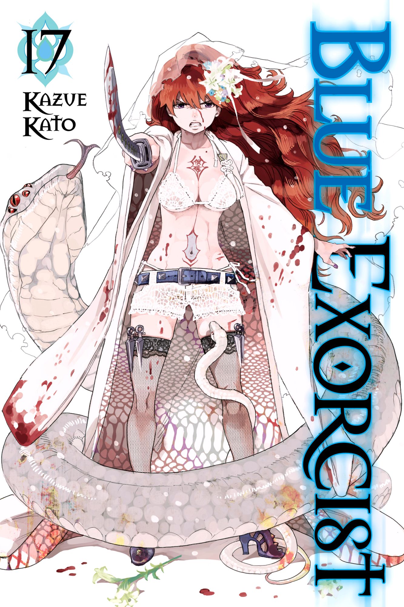 Blue Exorcist, Volume 17