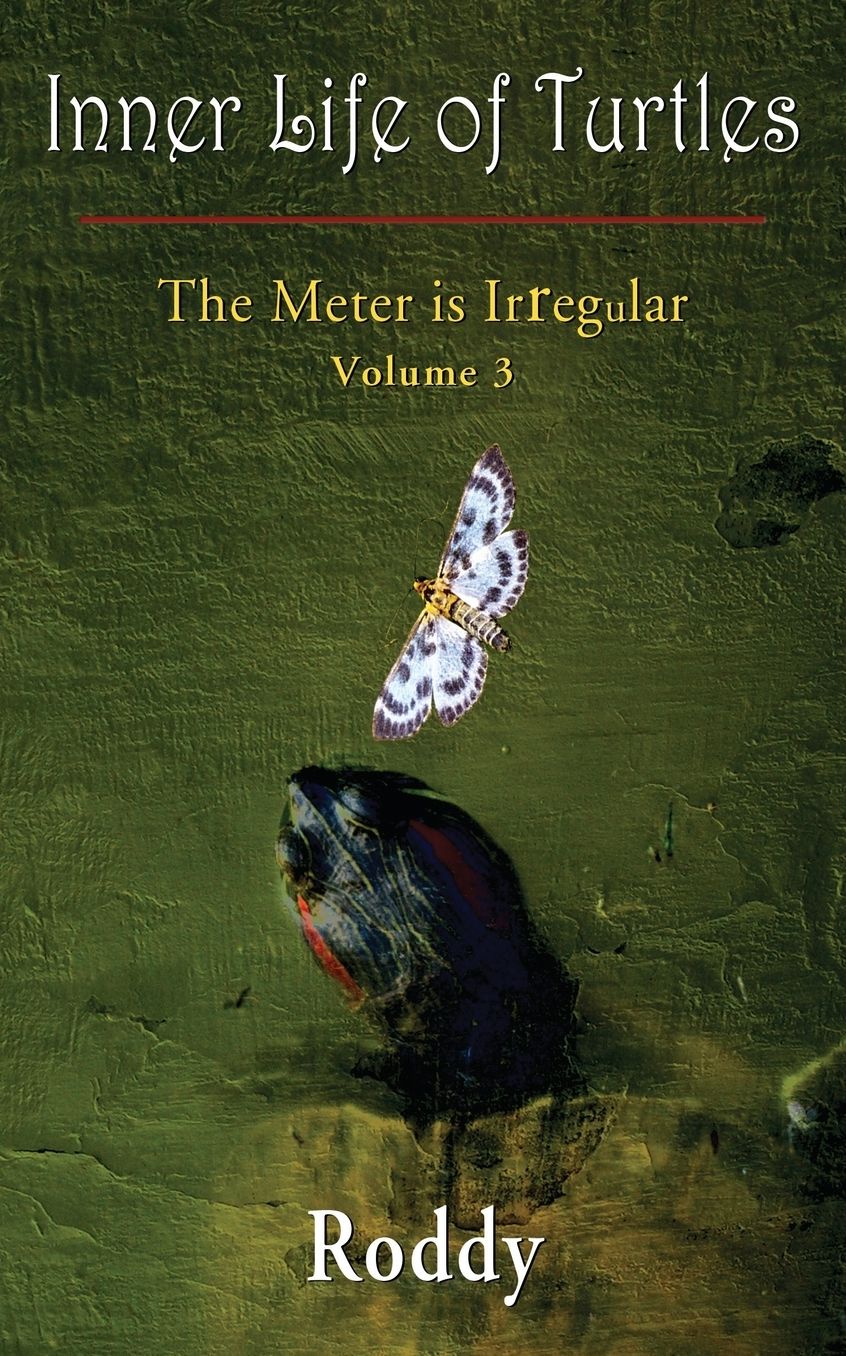 The Meter is Irregular, Volume 3 - Inner Life of Turtles