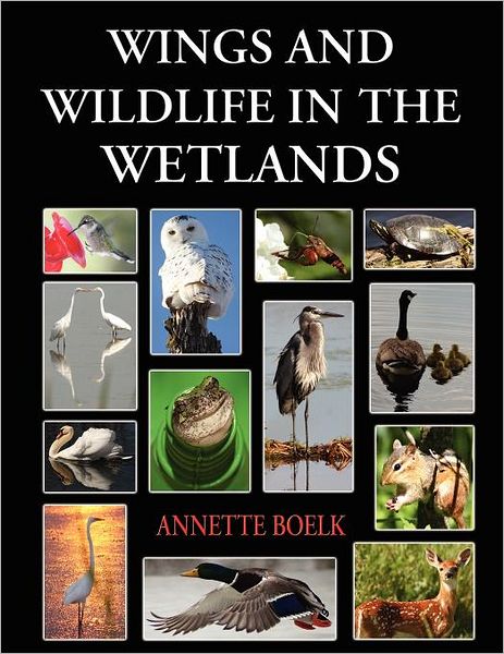 Wings And Wildlife In The Wetlands