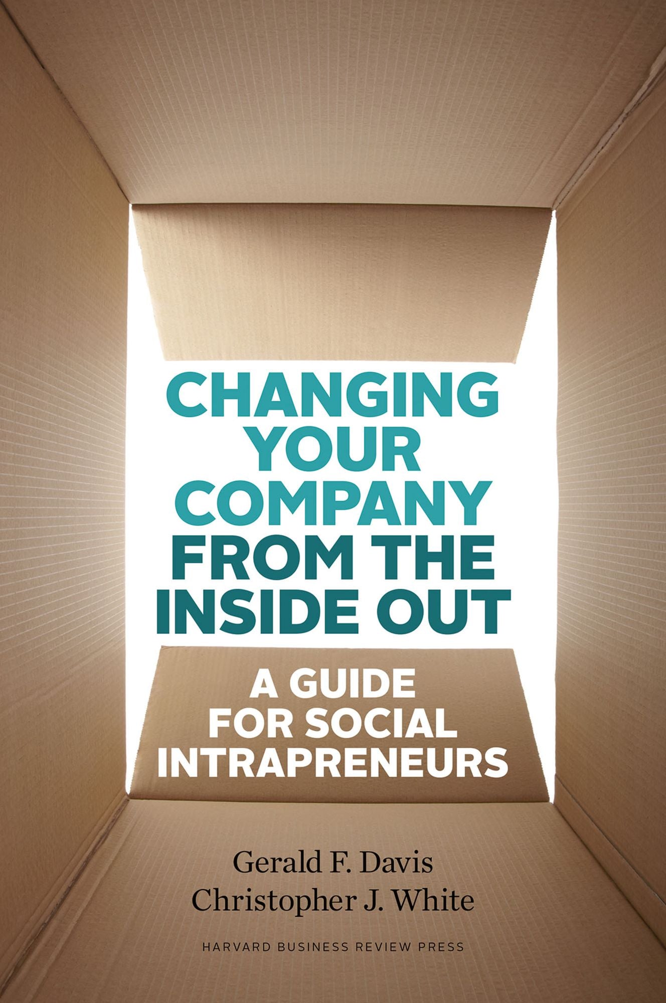 Changing Your Company from the Inside Out : A Guide for Social Intrapreneurs