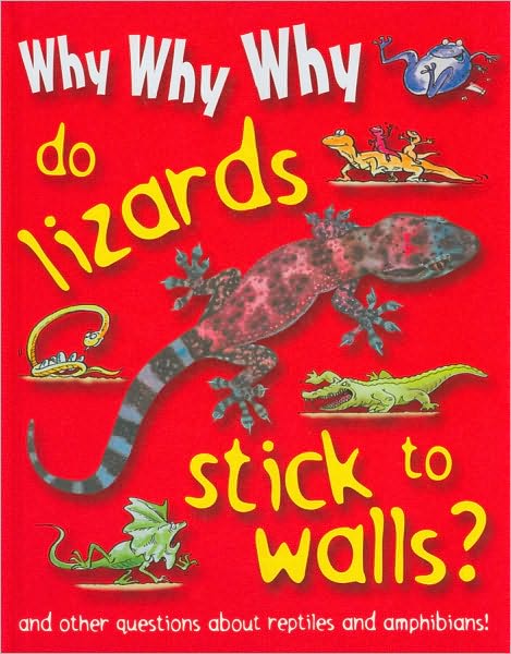 Why Why Why Do Lizards Stick to Walls?