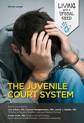 The Juvenile Court System