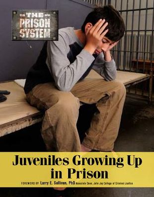 Juvenilesgrowing Up in Prison