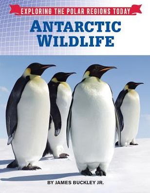 Antarctic Wildlife