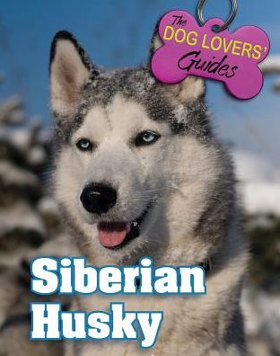 Siberian Husky