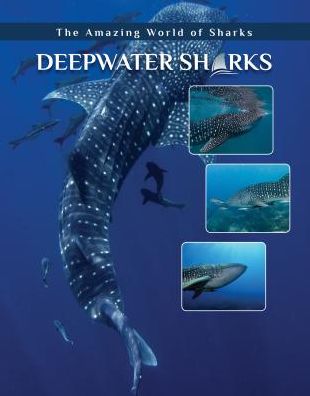 Deepwater Sharks