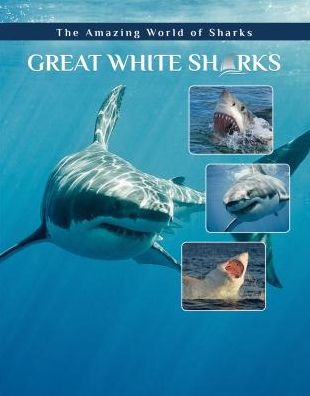 Great White Sharks