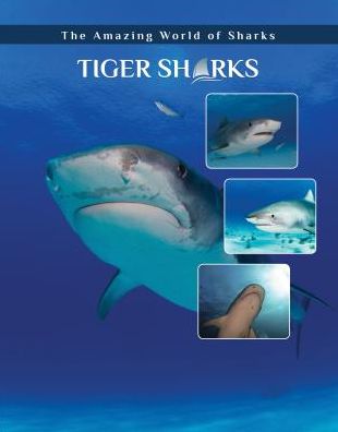 Tiger Sharks