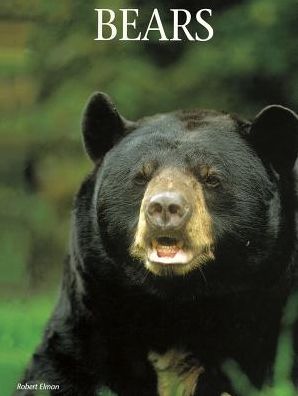 Bears