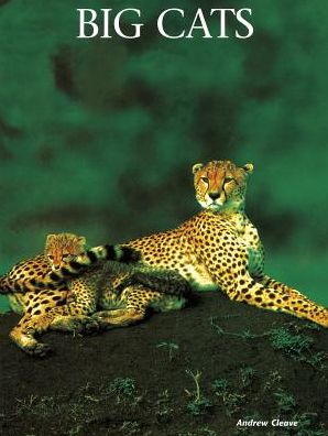 Big Cats