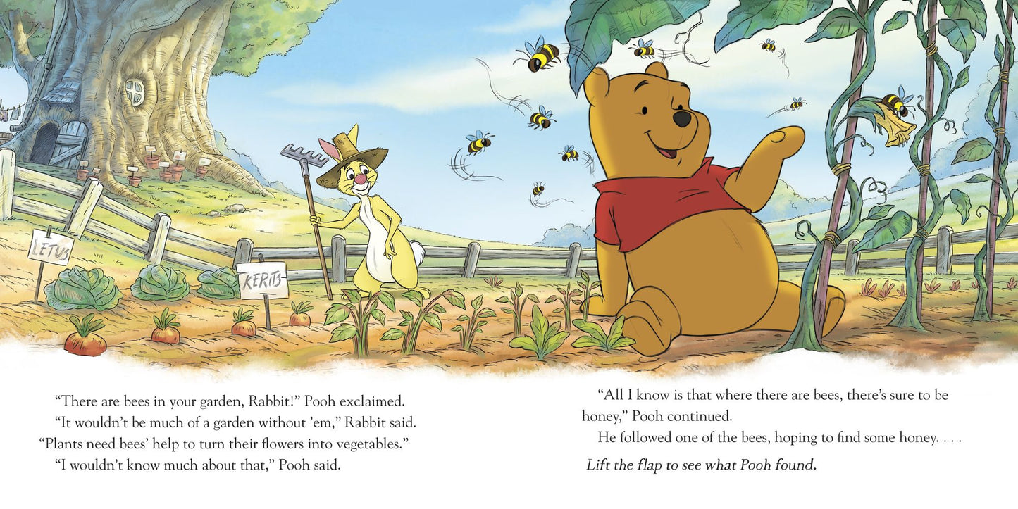 Winnie the Pooh: Pooh's Secret Garden