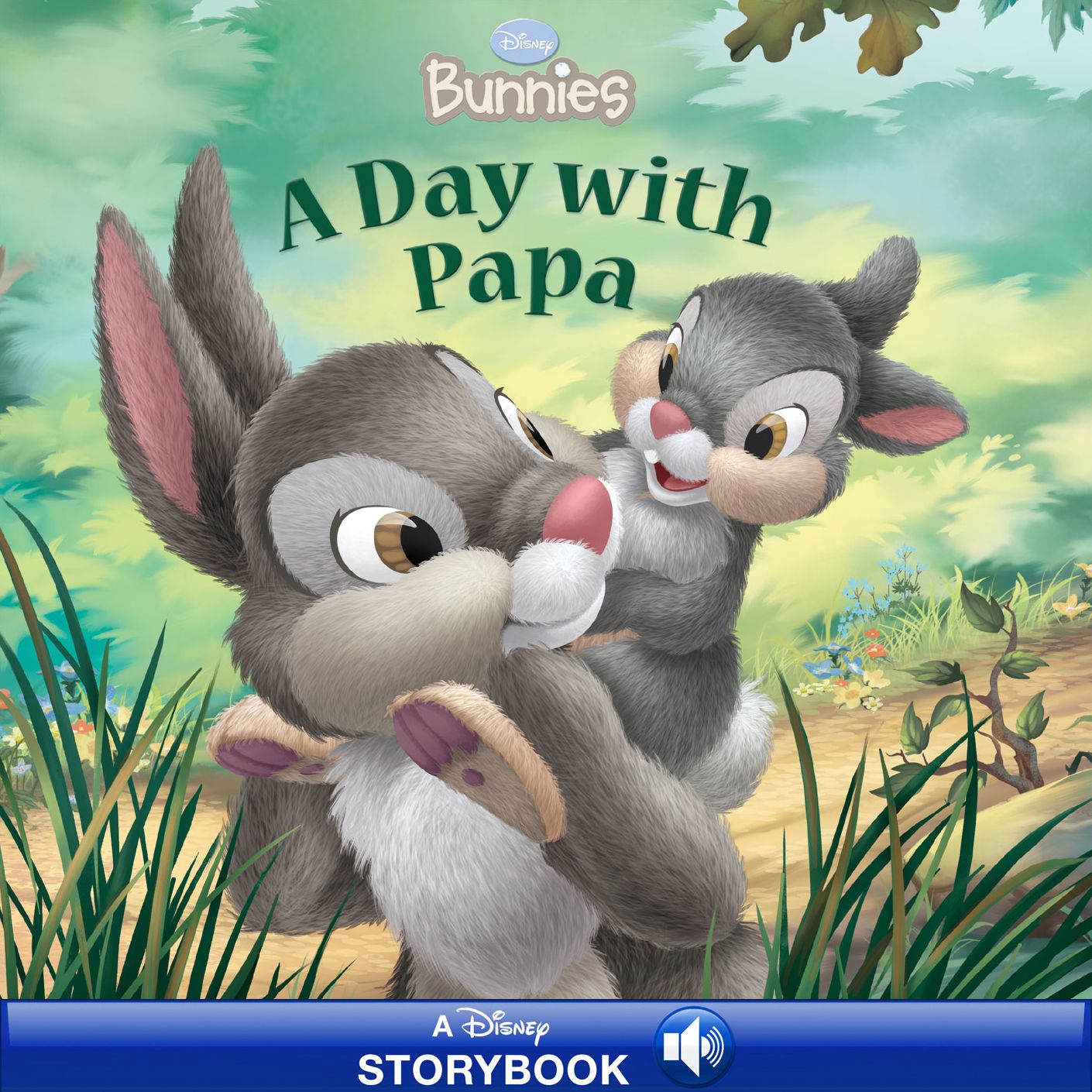 A Day with Papa (Disney Bunnies Series)