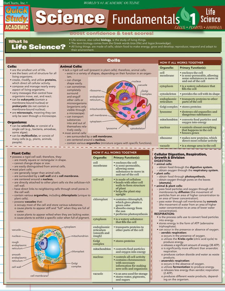Science Fundamentals 1 Cells-Plants-Animals