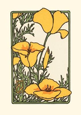 California Poppy, unboxed