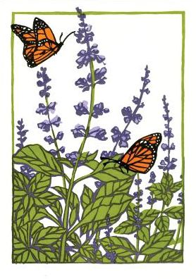 Sweet Basil: Boxed Set of 6 Cards