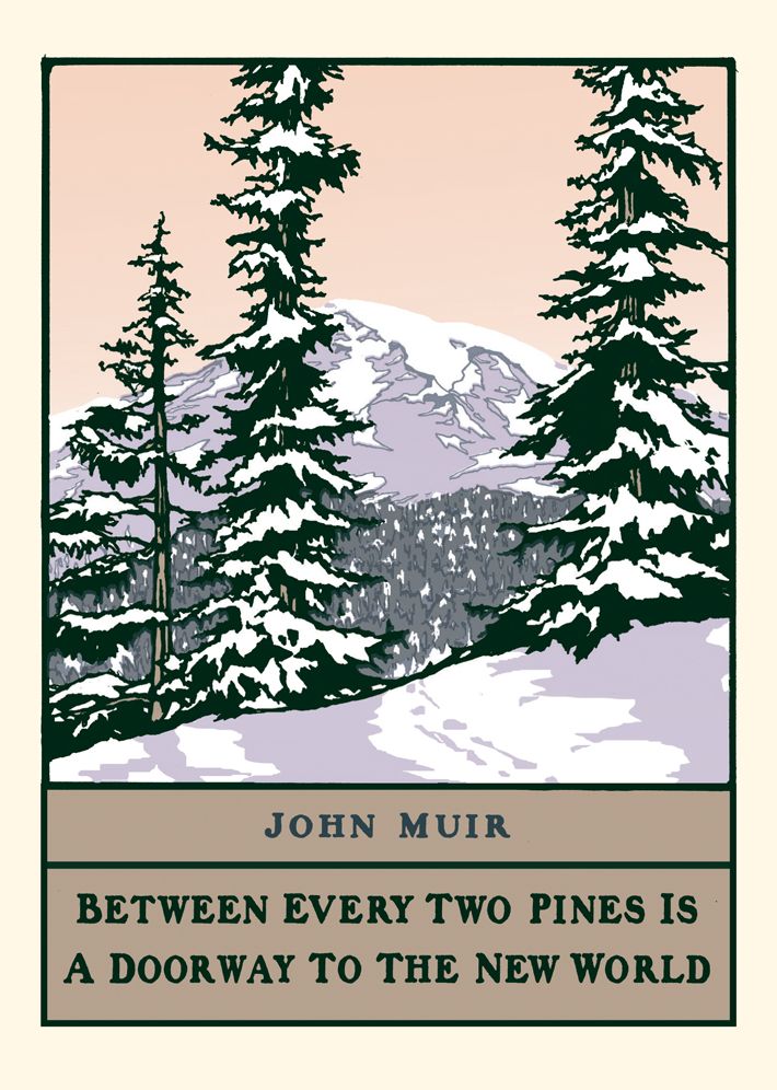 : Boxed Set of 6 Cards