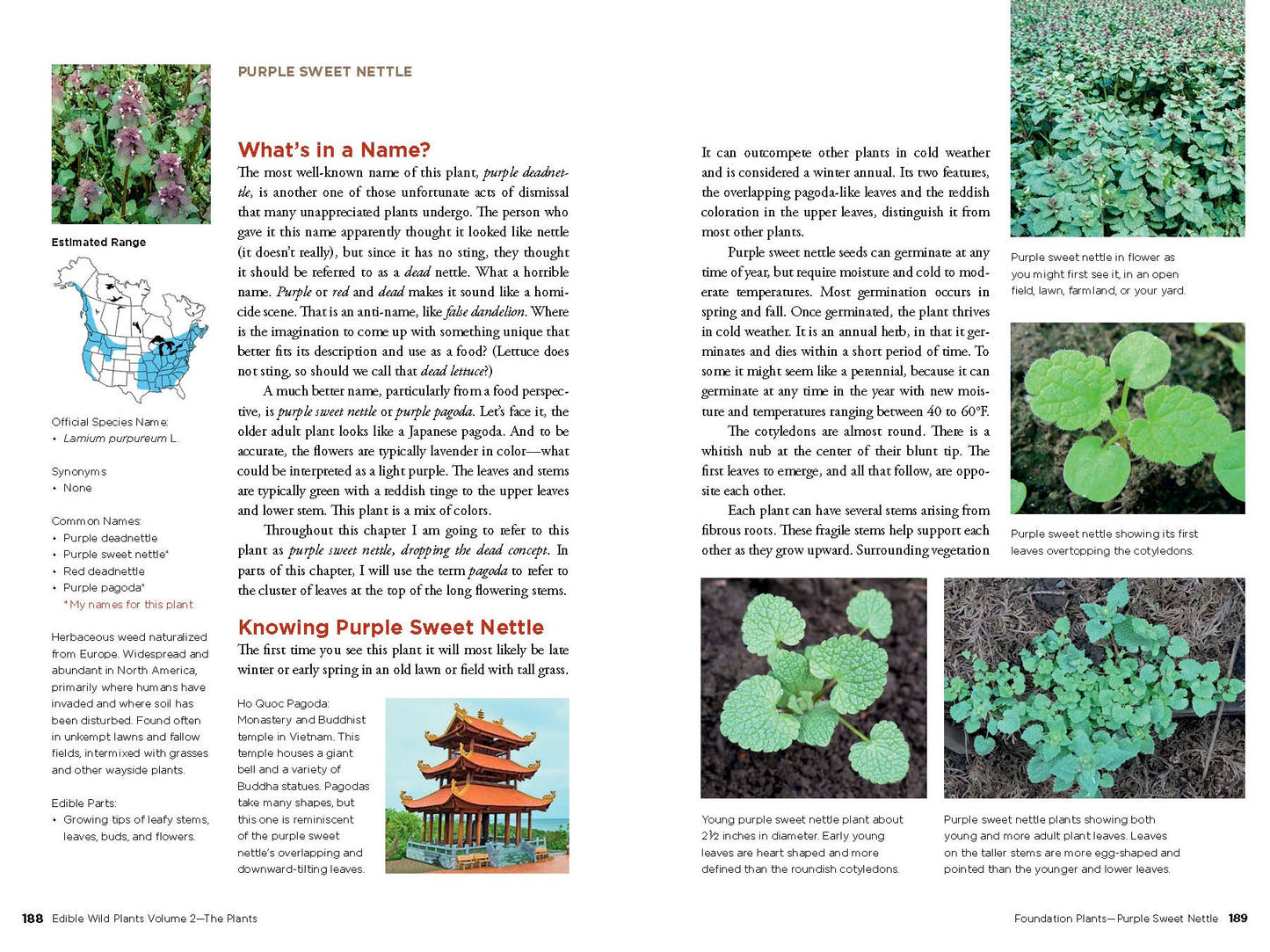 Edible Wild Plants, Vol. 2: Wild Foods from Foraging to Feasting