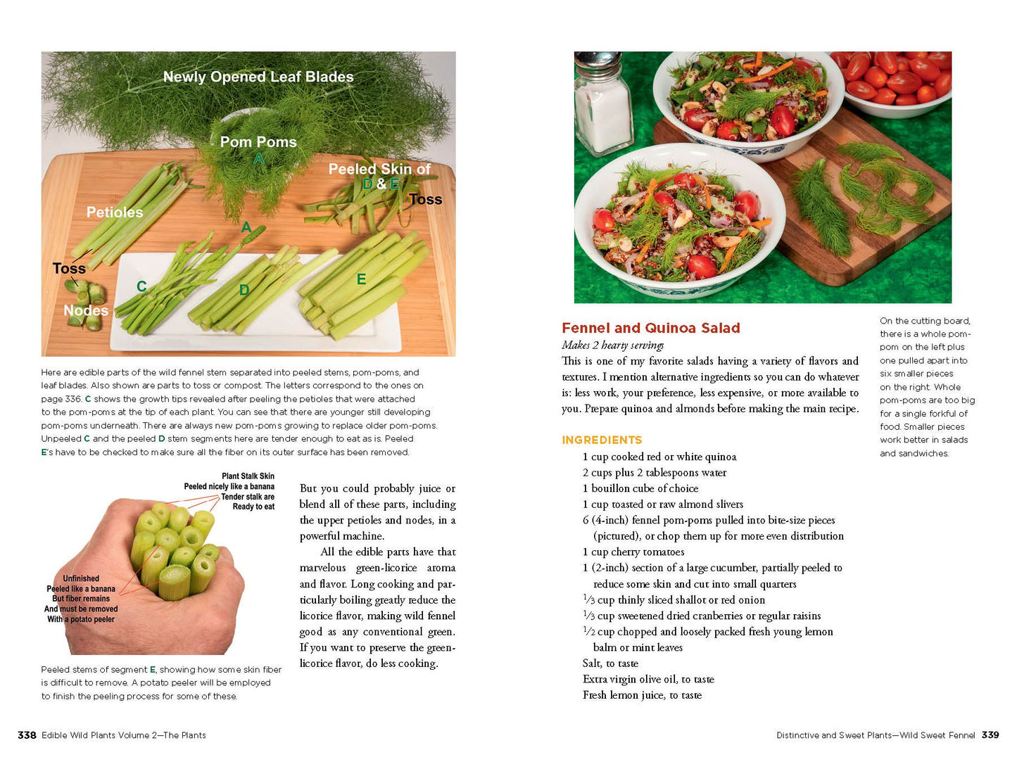 Edible Wild Plants, Vol. 2: Wild Foods from Foraging to Feasting