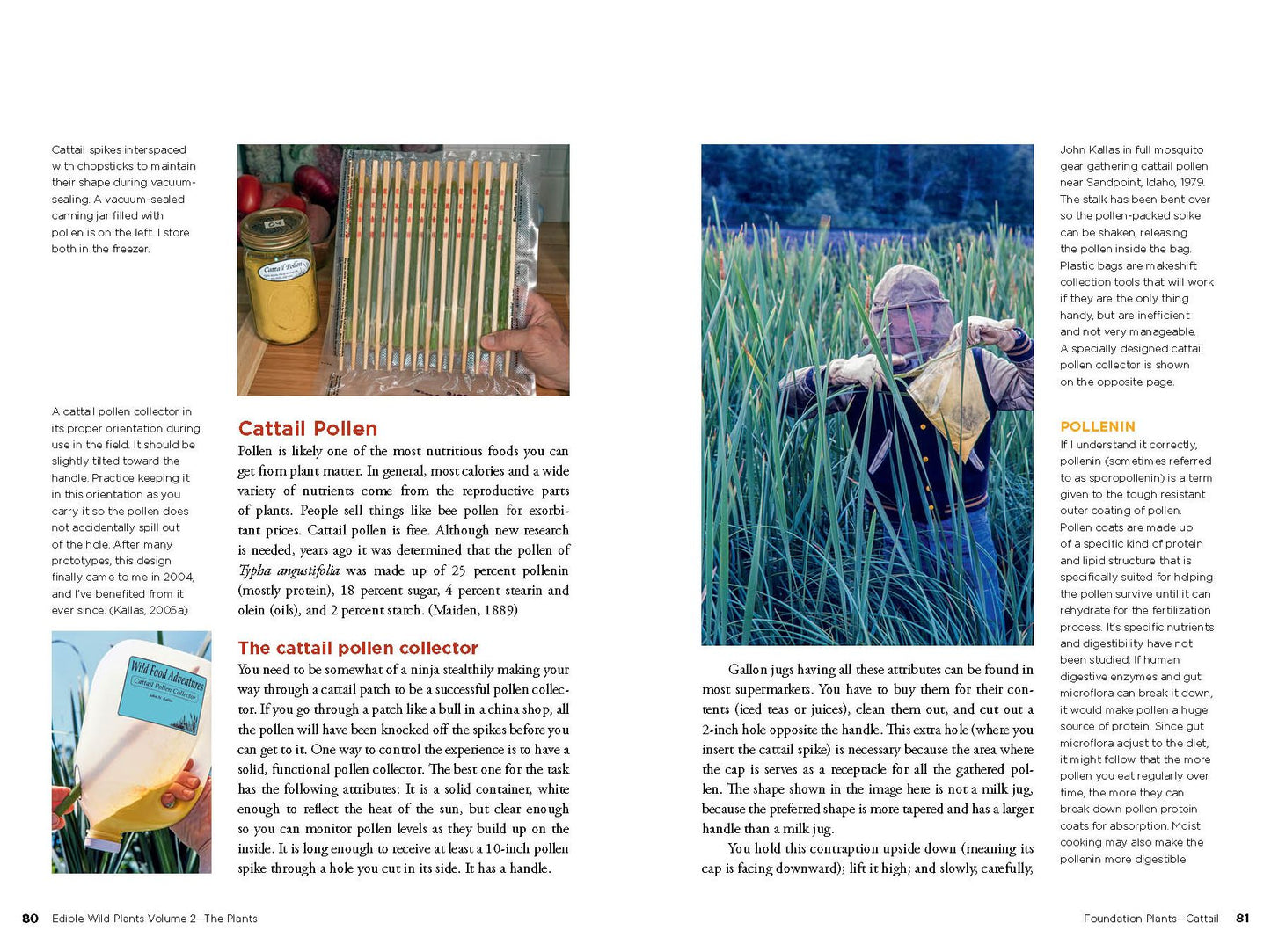 Edible Wild Plants, Vol. 2: Wild Foods from Foraging to Feasting