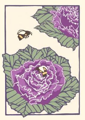 Kale Flowers (unboxed)