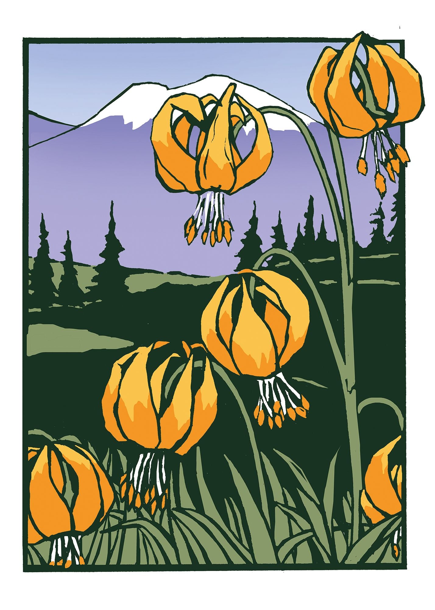 Tiger Lily: Boxed Set of 6 Cards