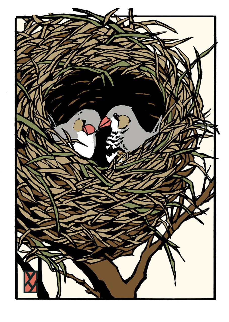 Tweet Heart: Unboxed Set of 6 Cards