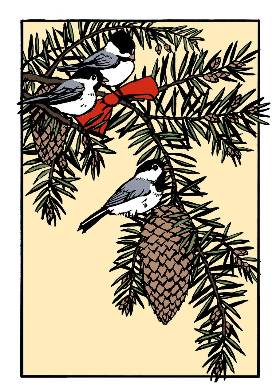 Chickadee's Chorus: Unboxed Set of 6 Cards