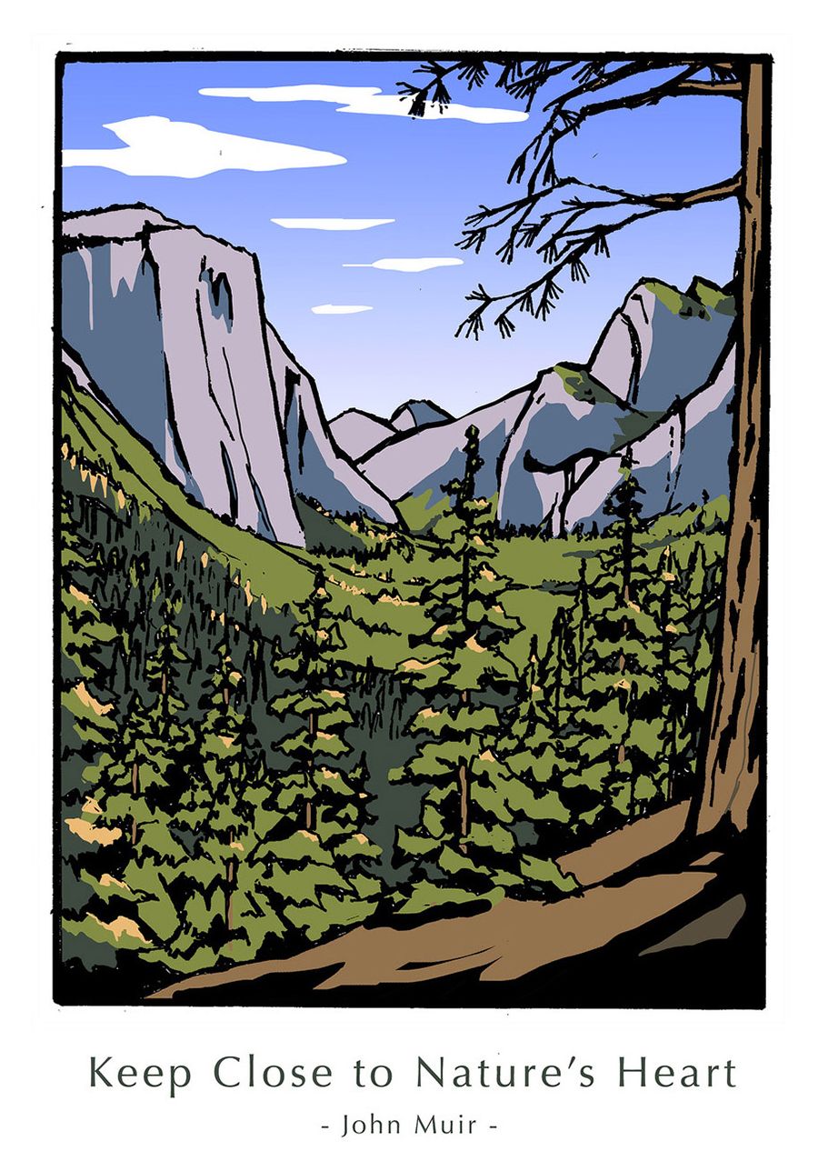 Nature by John Muir: Unboxed Set of 6 Cards