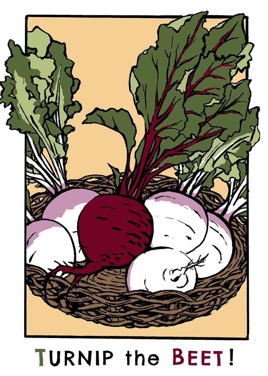 Turnip the Beet!: Boxed Set of 6 Cards