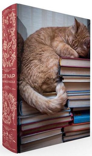 Cat Nap Book Box Puzzle