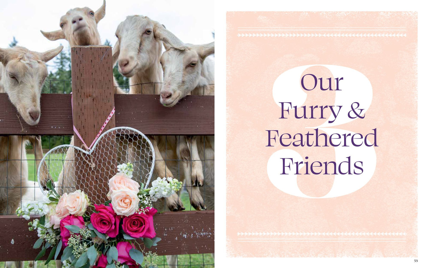 Blooms & Dreams: Cultivating Wellness, Generosity, & a Connection to the Land
