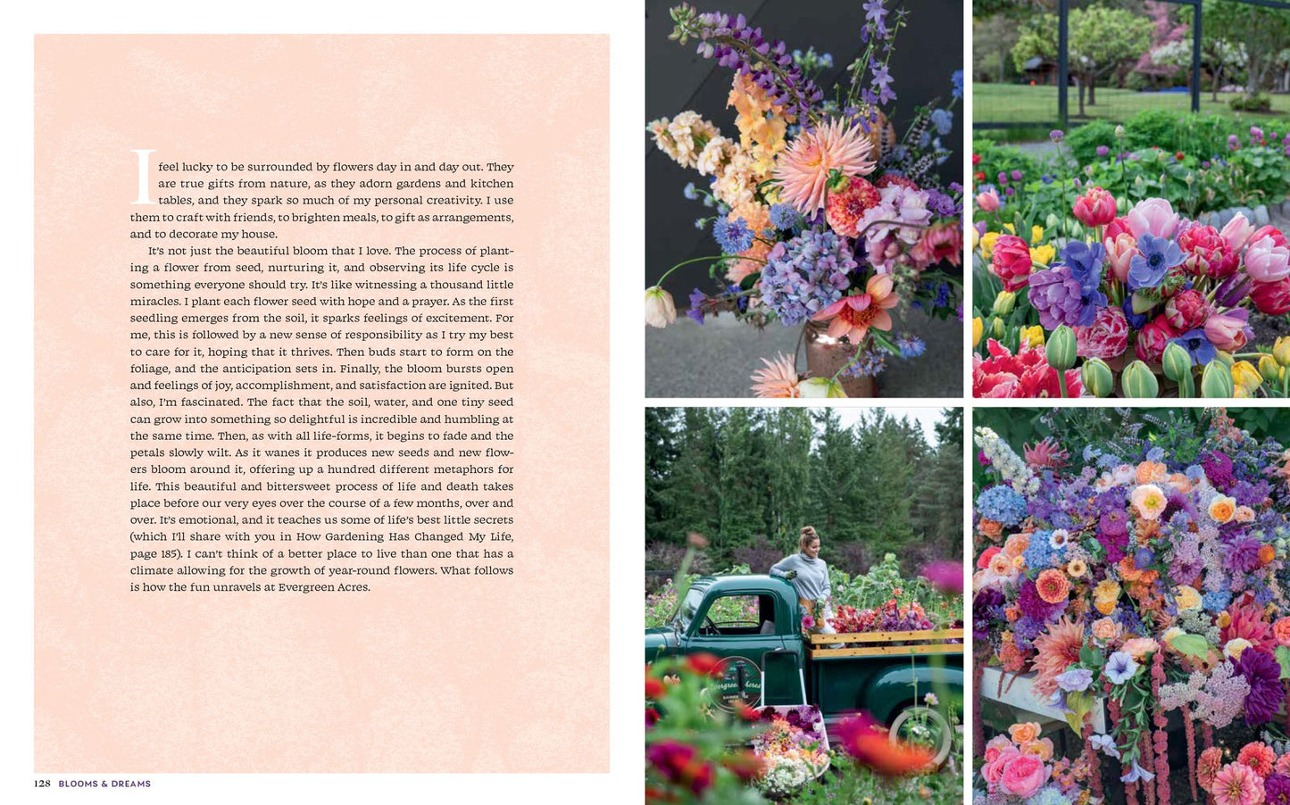 Blooms & Dreams: Cultivating Wellness, Generosity, & a Connection to the Land