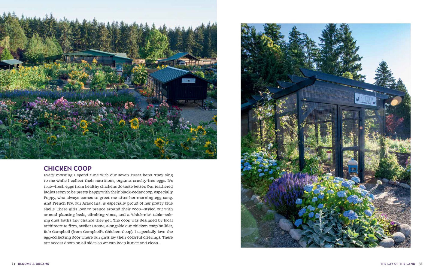 Blooms & Dreams: Cultivating Wellness, Generosity, & a Connection to the Land